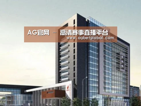 AG体育案例展示四