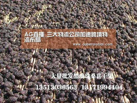 AG体育