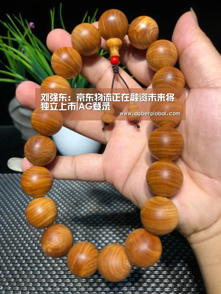 刘强东:京东物流正在融资未来将独立上市|AG登录(图3) AG登录