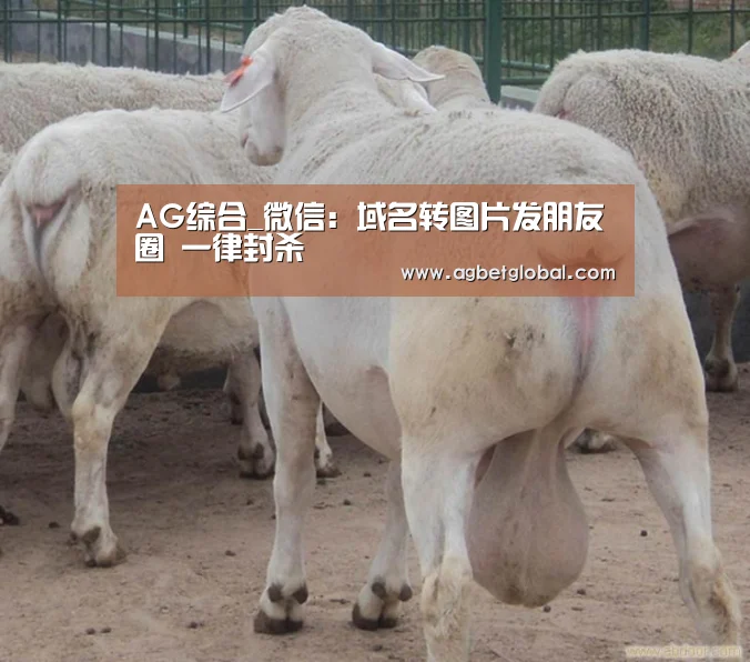 AG综合_微信:域名转图片发朋友圈 一律封杀(图1) AG直播