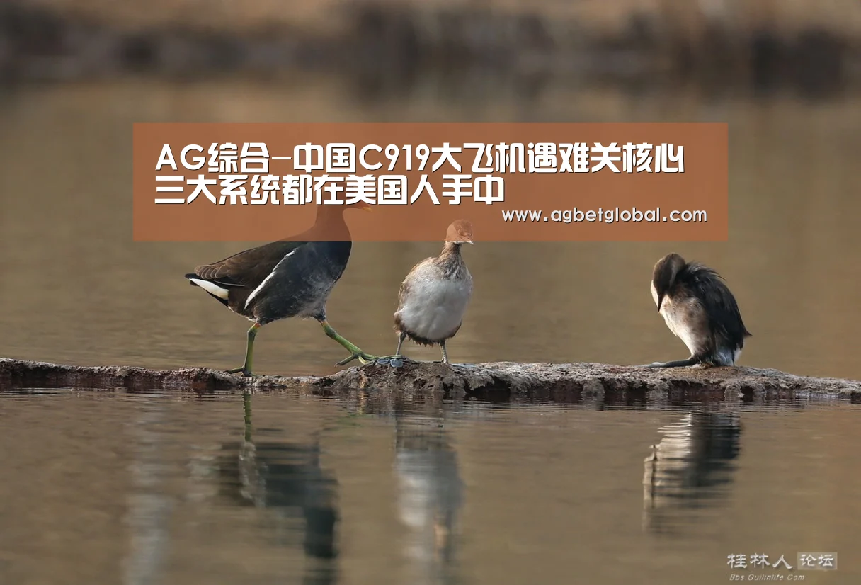 AG体育