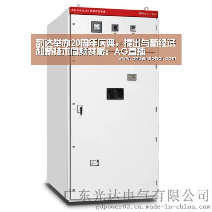 韵达举办20周年庆典,提出与新经济和新技术同频共振:AG直播(图2) AG直播