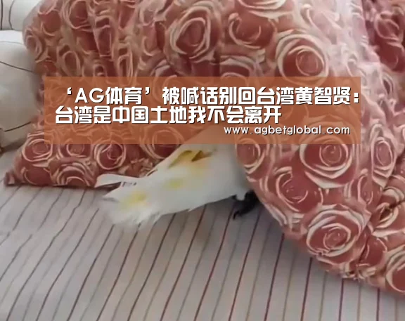‘AG体育’被喊话别回台湾黄智贤:台湾是中国土地我不会离开(图1) AG登录